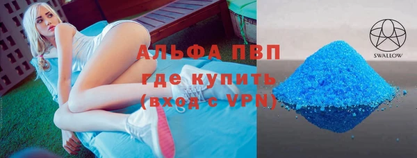 СК Алексин