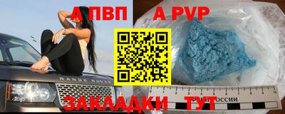 крисы Кунгур